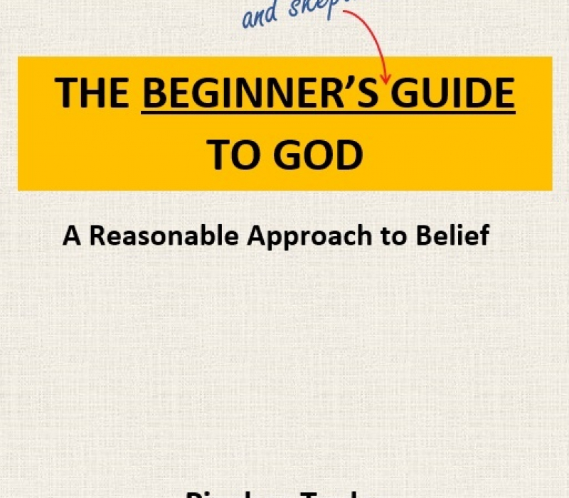 Beginner’s Guide to God-Pinchas Taylor